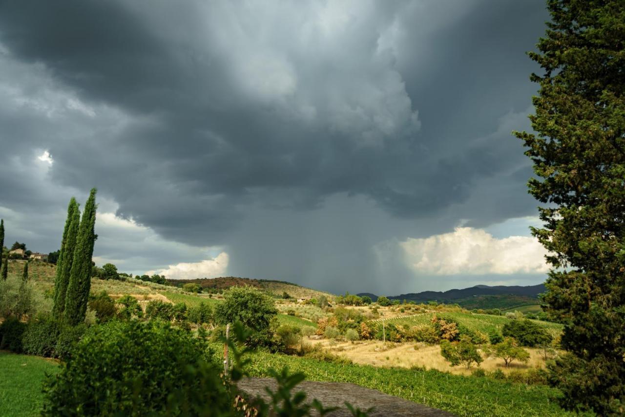 Вілла Celle Di Lecchi Nel Chianti San Sano Екстер'єр фото