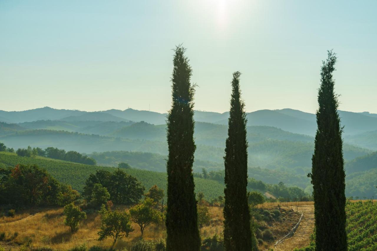 Вілла Celle Di Lecchi Nel Chianti San Sano Екстер'єр фото
