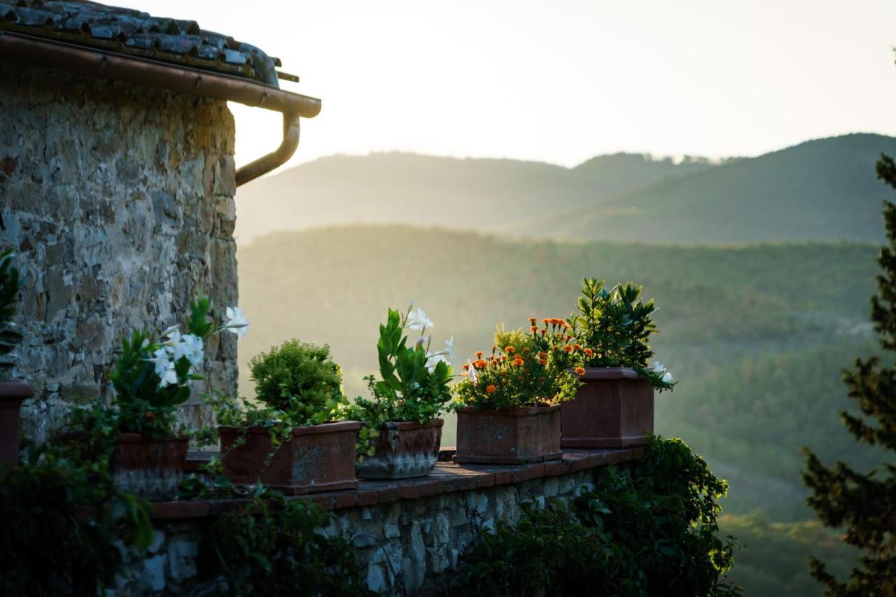Вілла Celle Di Lecchi Nel Chianti San Sano Екстер'єр фото