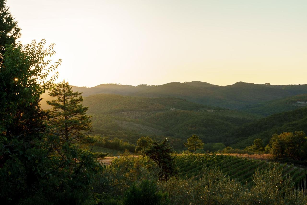 Вілла Celle Di Lecchi Nel Chianti San Sano Екстер'єр фото