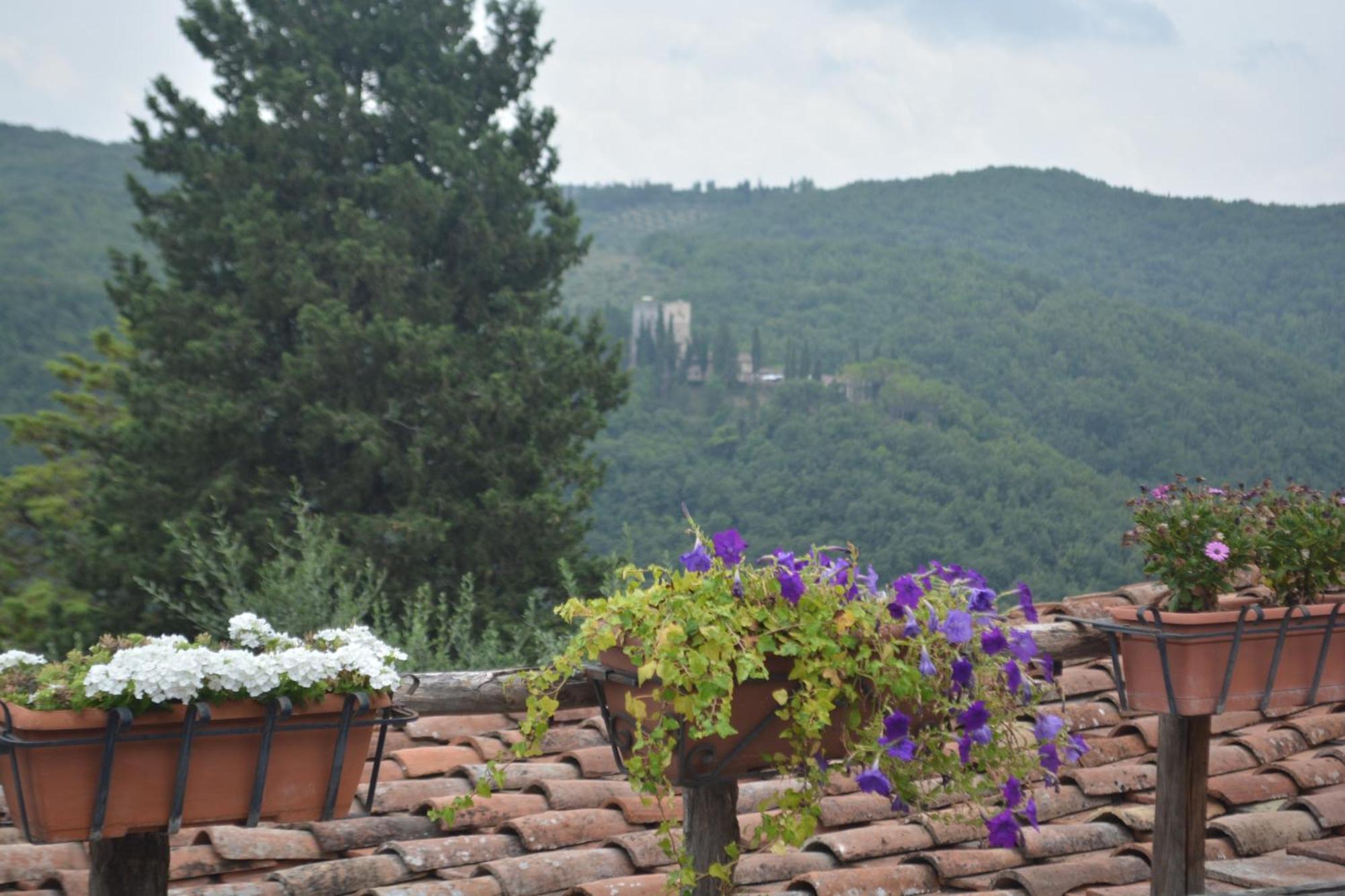 Вілла Celle Di Lecchi Nel Chianti San Sano Екстер'єр фото