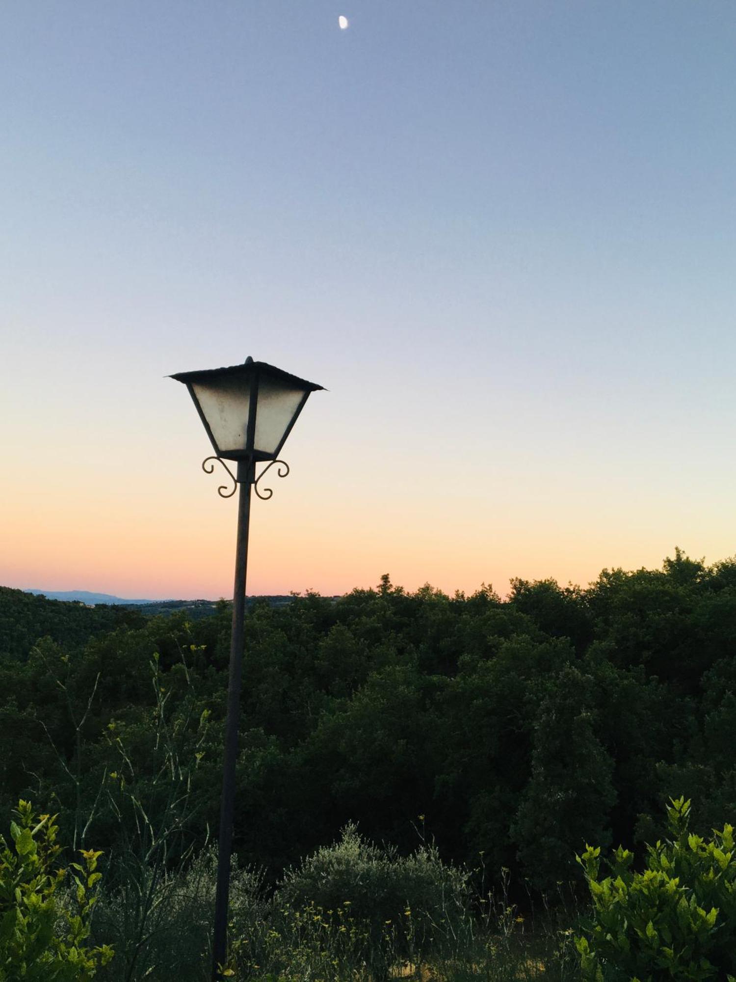 Вілла Celle Di Lecchi Nel Chianti San Sano Екстер'єр фото