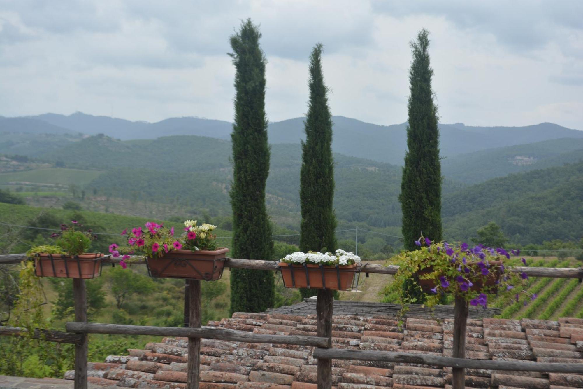 Вілла Celle Di Lecchi Nel Chianti San Sano Екстер'єр фото